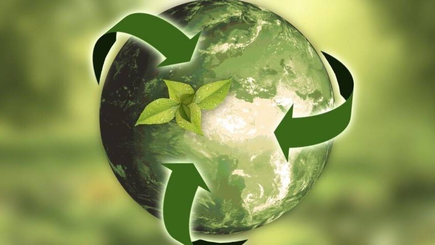 Soluble Potassium Humate Powder supplier Soluble Potassium Humate Powder supplier